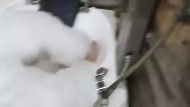 High class couple honeymoon sex photos and viral videos