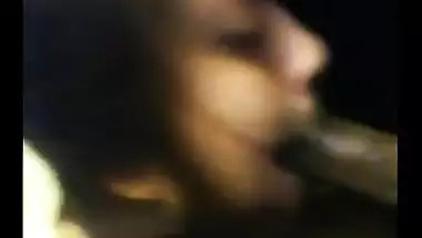 Desimms of a sexy slut satisfying a big black dick with an amazing blowjob
